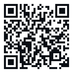 Lightning QR